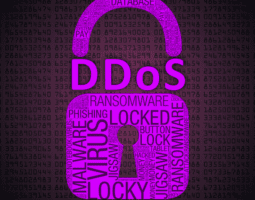 DDOS Attacks